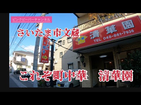 これぞ町中華細麺のラーメン🍜が最高さいたま市文蔵清華園