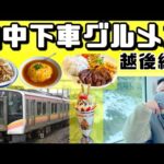 電車で【ぶらりグルメ旅】おしゃれカフェと絶品街中華 越後線編 新潟大学前駅