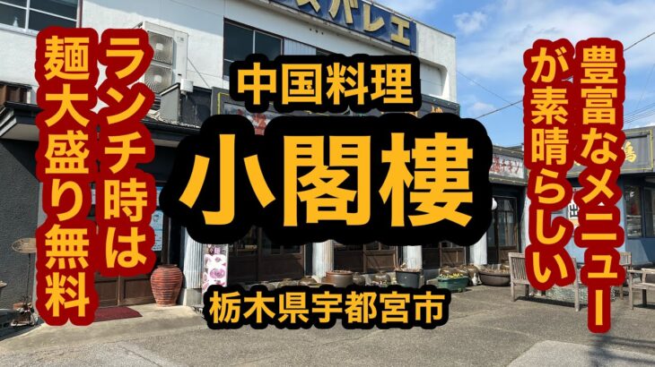 中国料理 小閣樓（栃木県宇都宮市）お得な白ゴマ坦々麺セット大盛りを食べてみた