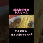 町中華！パラパラチャーハンと豚の旨み風味くさみ全開アツアツのルースーメンがクセになる！【栃木県壬生町】かんちゃん＃shorts