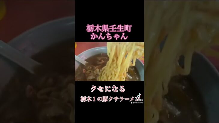 町中華！パラパラチャーハンと豚の旨み風味くさみ全開アツアツのルースーメンがクセになる！【栃木県壬生町】かんちゃん＃shorts