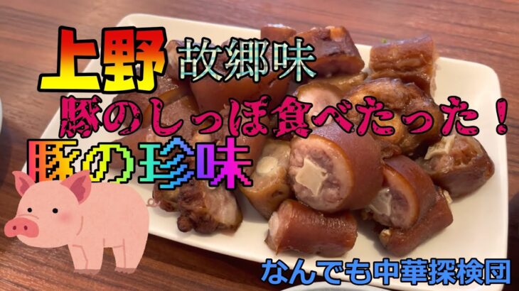 上野 故郷味【ガチ中華】6 豚の珍味 豚のしっぽをたべたった。なんでも中華探検団