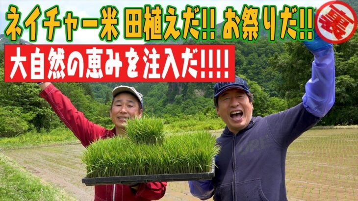 【ジモン米&町中華】自然大好きジモンも年齢には逆らえない。田植えは機械にお・ま・か・せ。でも、手植えにも挑戦!!もちろん、田植えの後は、町中華で満腹!!