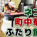 【ひとり飲み】猫と公園とビール～下町の町中華で～(後編）｜Healing Place