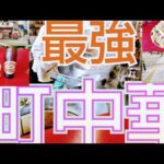 【町中華】ひとり酒 庶民のみかた【平塚編】 #町中華 #vlog  #一人飲み