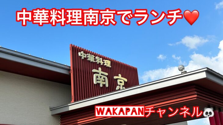 中華料理南京でランチ❤️WAKAPANチャンネル🐼