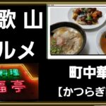 【和歌山グルメ】大人気の町中華で中華そば、天津飯、肉団子の甘酢を食す。餃子の注文忘れてた😅