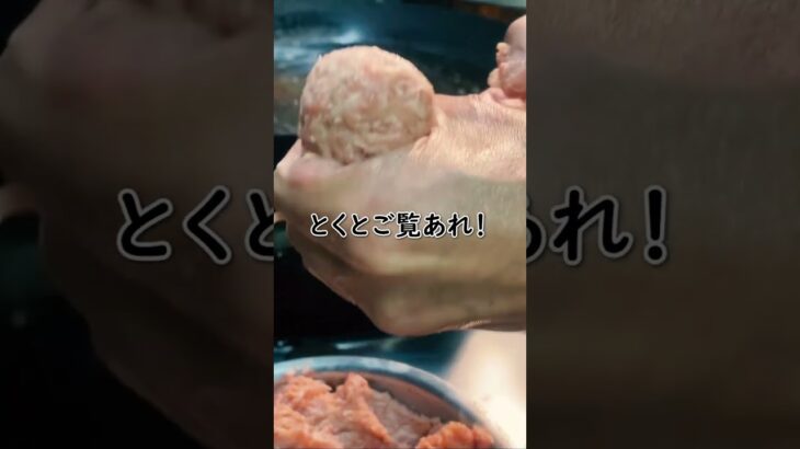 町中華の肉団子の破壊力www 三重県四日市 #shorts #町中華 #閃光のハサウェイ