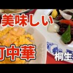 群馬県桐生市【萬来軒🍜宮本店】美味しい本格町中華🥟でいろいろ食べてみました😋