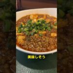 麻婆豆腐が食べたくなったから「町中華　縁」