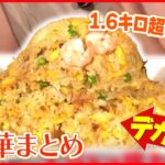 【デカ盛り町中華大特集】1.6kg超のチャーハン/麺４玉の五目焼きそば/「タワー」かた焼きそば/こぶし大のからあげ６個定食　など