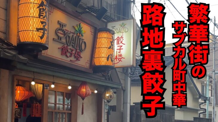 【厨房撮影】繁華街の一本路地裏！サブカル町中華！路地裏餃子