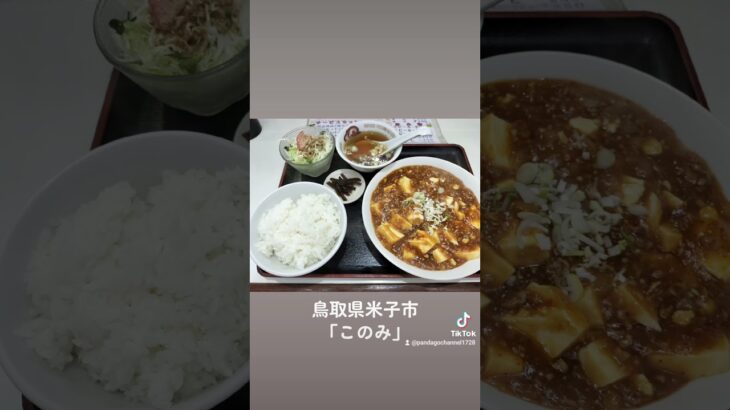 【ショート】鳥取県米子市「このみ」　#shorts #japanfood #japantravel #旅行 #町中華