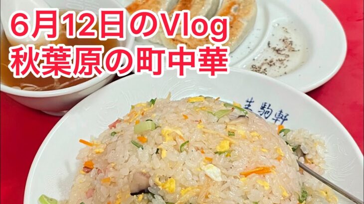 6月12日のVlog 秋葉原の町中華 #サラメシ #秋葉原グルメ #秋葉原 #町中華