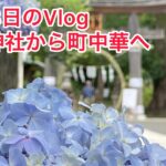 6月18日のVlog 高麗神社からの町中華 #高麗神社 #紫陽花 #北珍 #柴犬