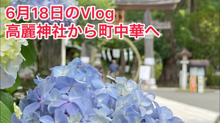 6月18日のVlog 高麗神社からの町中華 #高麗神社 #紫陽花 #北珍 #柴犬