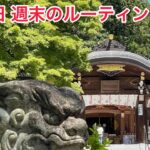 6月4日のVlog 高麗神社から町中華 #町中華 #高麗神社 #週末のルーティン #日高市