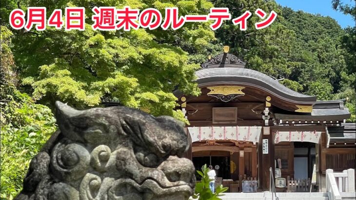 6月4日のVlog 高麗神社から町中華 #町中華 #高麗神社 #週末のルーティン #日高市