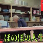 (東京都)  板橋区  【中華 昇龍】 坂下にある町中華でのんびり昼呑み🍻  じいちゃんばあちゃん家に帰ったような雰囲気でほのぼのします😌