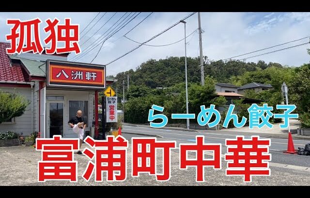 【孤独な53歳男】富浦の町中華　八洲軒さんいってみた！