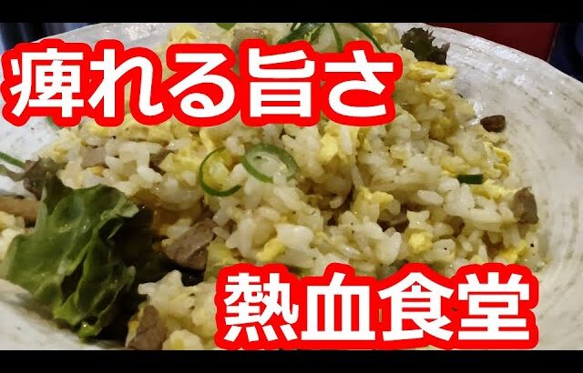 【東京】激辛料理も食べられる町中華でチャーハン大盛りを食す。餃子は羽根つきの肉餃子。麻婆豆腐が人気。定食メニュー豊富。【熱血食堂すわ】町田市/ Fried rice, Tokyo, Japan