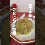 【東京】横丁中華のクセになる炒飯、大井町「永楽」。しっとり系味濃いのが好きな人はめちゃおすすめ！#町中華 #しっとり系炒飯