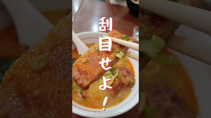 【刮目せよ】トンカツ担々麺！町中華を喰らう！静岡菊川の銘店！#グルメ #担々麺 #トンカツ #b級グルメ #町中華 #ラーメン二郎 #二郎系 #とんこつラーメン #つけ麺 #餃子の王将 #デカ盛り