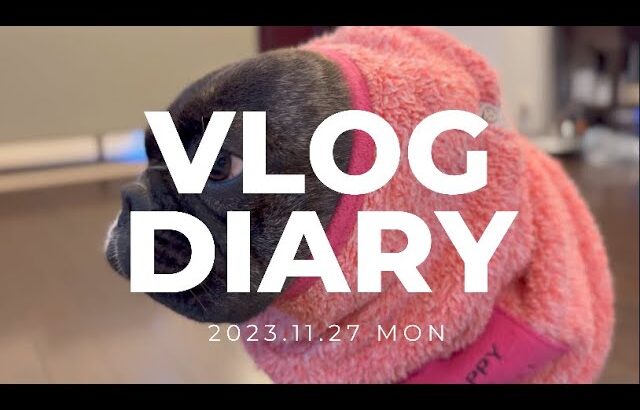 【VLOG DIARY】2023.11.27 フレンチブルドッグ、新幹線、町中華