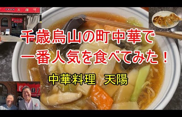 478　町中華で一番人気の広東麺食べてみた！！[千歳烏山　天陽]