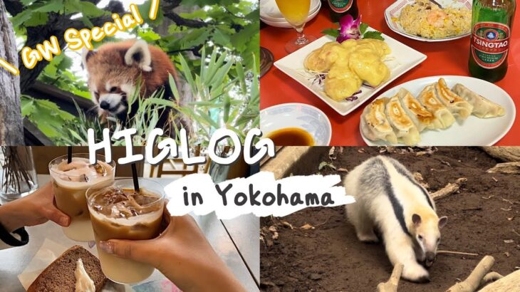 混雑回避しながら横浜を巡る休日🚢 町中華で昼飲み | 入園無料の動物園 | おしゃれカフェ | 野毛はしごNight