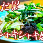 町中華作ろうぜ！究極の肉野菜炒め【完全保存版】