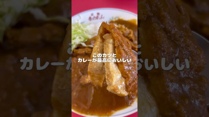 【町中華】赤のれんで冷やし中華とカツカレー🍛#ラーメン #冷やし中華 #カツカレー #町中華