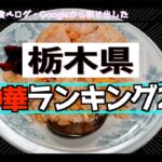 【4K】「栃木県内（宇都宮除く）町中華ランキング20!」町中華を一挙紹介！