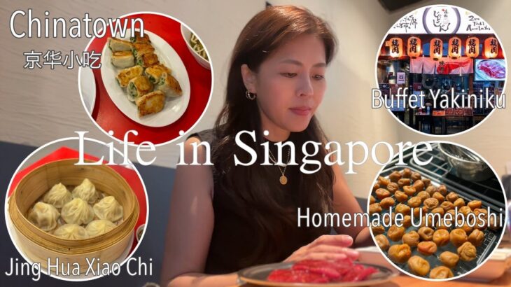 【🇸🇬シンガポールVlog】チャイナタウンの老舗町中華｜ザ・和朝食｜手作り梅干し｜焼肉食べ放題