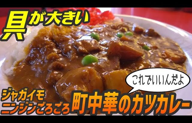 具が大きい！ジャガイモ・ニンジンがごろごろ入った町中華カツカレー【昼めしジプシー】一之江・大新楼