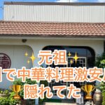 元祖！豊川で中華料理激安店が隠れてた！？リキ餃子飯店🏆