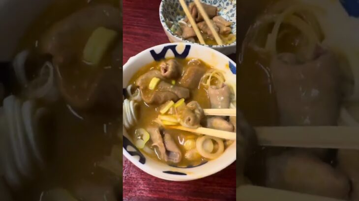 千葉県行徳で有名な下町中華！オススメのネギ焼豚は凄い量だった#tiktok #japanesefood #グルメ #ラーメン #大盛り #町中華