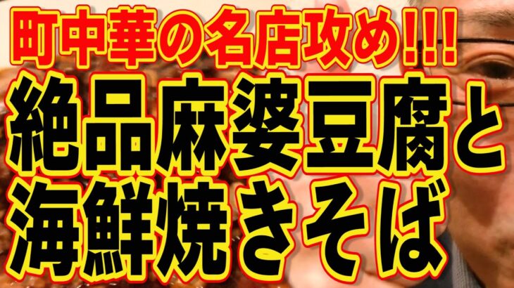 町中華名店攻め!!!絶品麻婆豆腐と海鮮焼きそば!!!