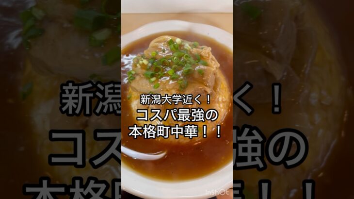 【新潟グルメ】新潟大学近くの最強本格町中華！！#新潟グルメ #ラーメン #炒飯